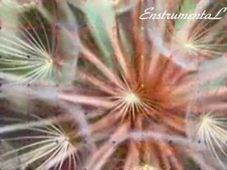 melody of autumn (EnstrumentaL)