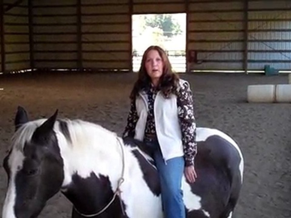 Not Just Treats Treats With A Purpose Of Maximum Nutrient Assimilation