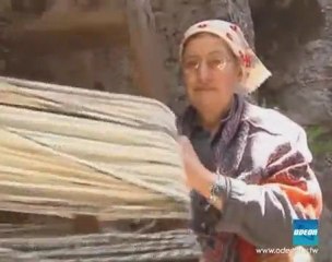 A COME ALPI - 4 luglio 2011