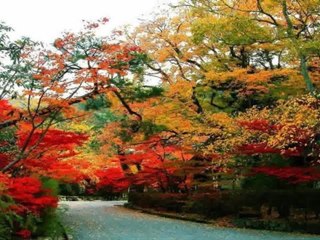 North York House - Glenelia Ave