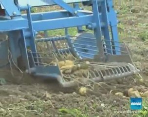 A COME ALPI - 19 settembre 2011