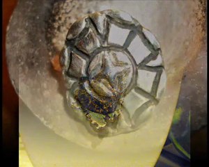 Projection écran Biennale des Bijoutiers-Créateurs 2011