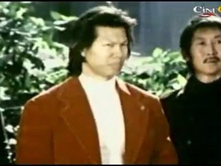 Superb Action Scene From The Image Of Bruce Lee