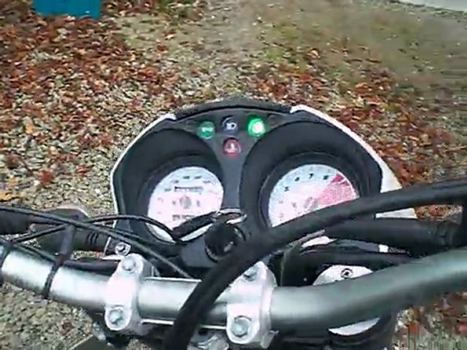 duke 2 bobmot