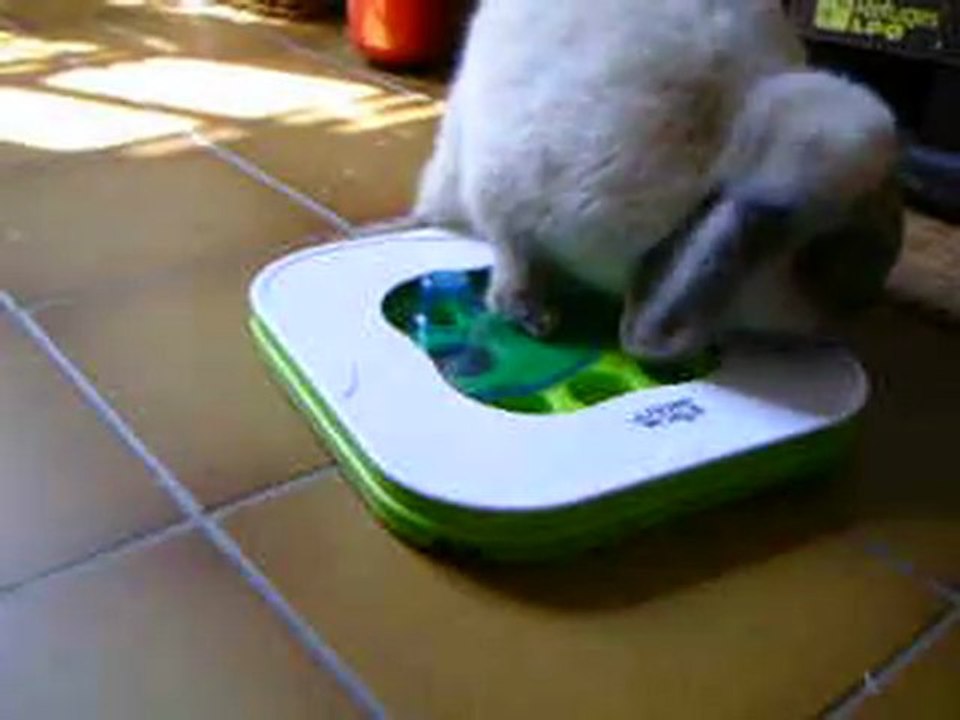 Jade et le jeu : pas de patience !