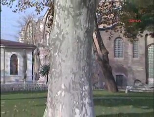 Topkapı Sarayı'nda Çatışmanın İzleri