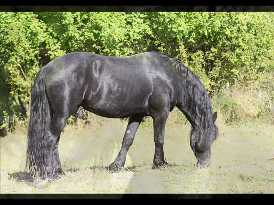 mein persönlicher Dank an unsere Freunde