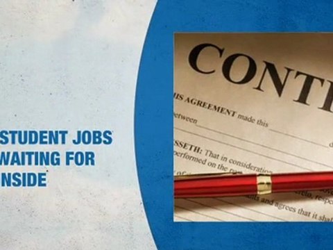 Law Student Jobs In Daytona Beach FL