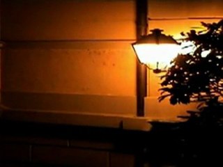 Chant nocturne du Rougegorge