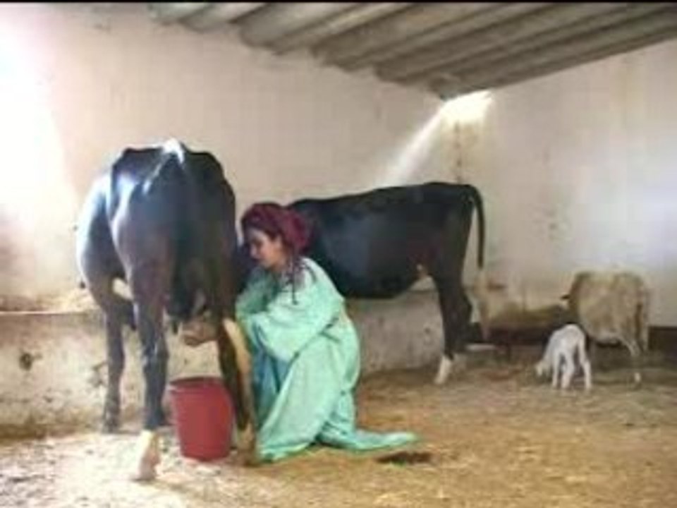 maroc Jadba 01