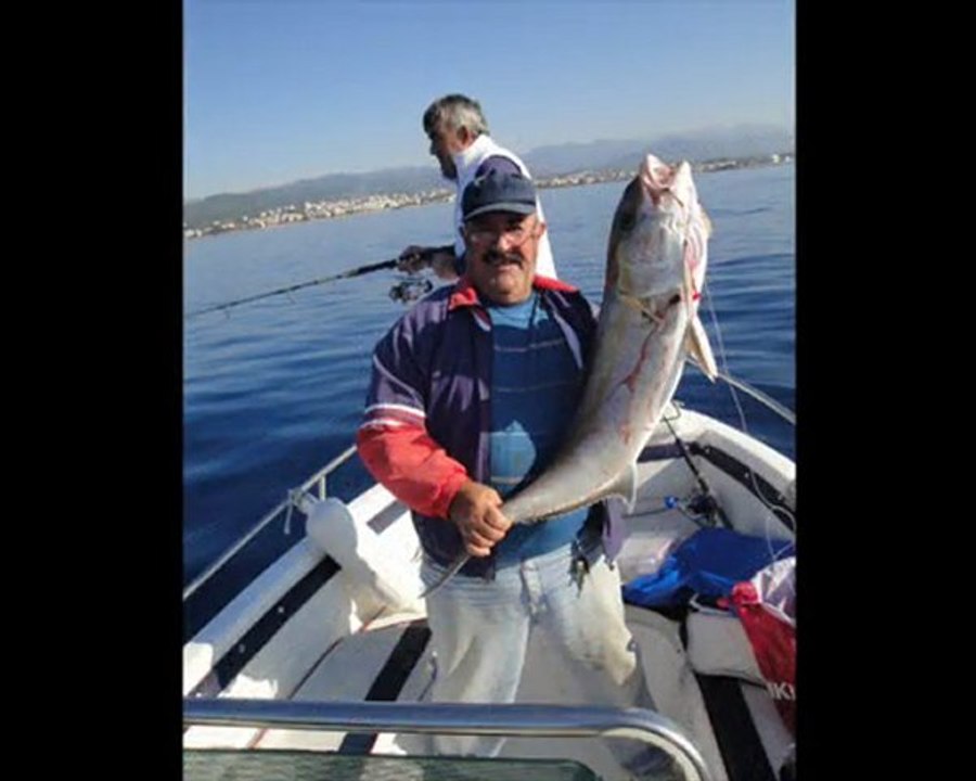 Alanyada JİGGİN ile KUZU BALIĞI AVI.