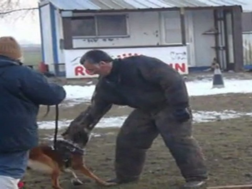 Harley 18-02-2010 12-14-58