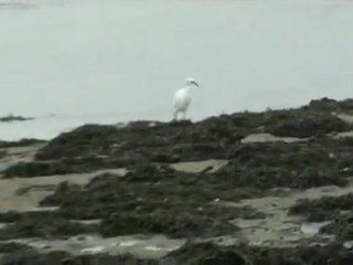 Le Letty Bénodet par un dimanche matin de novembre 2011
