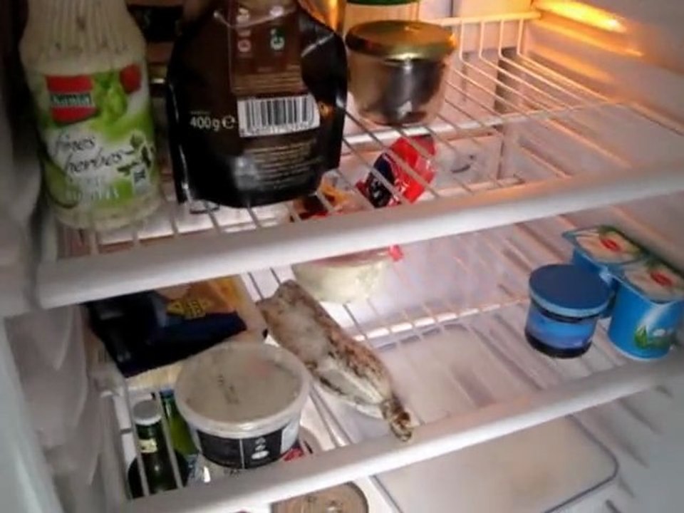 FridgeGo