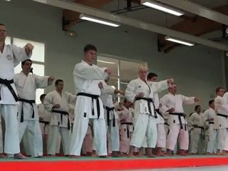 Stage Karaté - Patrick Rault à Genilac - 04 Déc 2011.