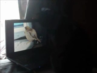 Midnight 4th ‎December ‎2011