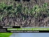 Cambio climático reduce tierras cultivables en el mundo