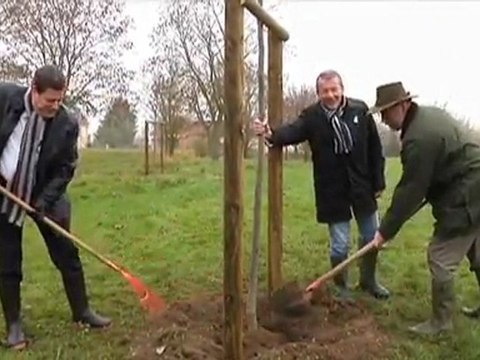 Aux arbres citoyens! (Saint-Parres-aux-Tertres)