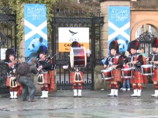 Press Freedom Challenged as Pandas Arrive in Scotland