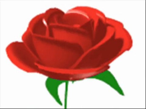 ben seni görmeden ölmem ölmem ( Y.JANUARY )