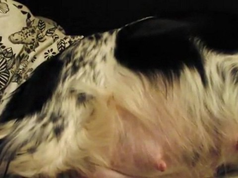 Les bébés d'Emmy bougent dans son ventre