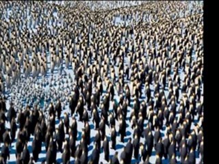 Watch Happy Feet Two Online Part 1 For Free Full Movie