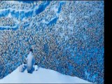 Happy Feet Two (2011) Complete Movie Part 1/15