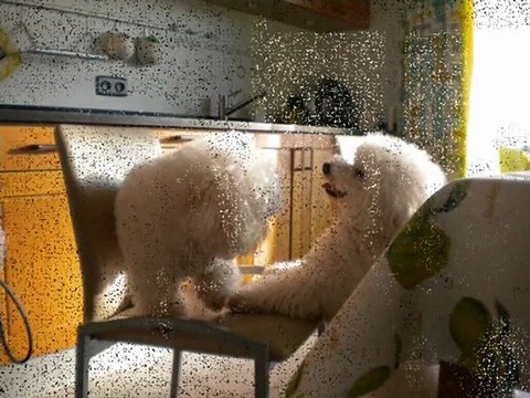 les trois arsouilles