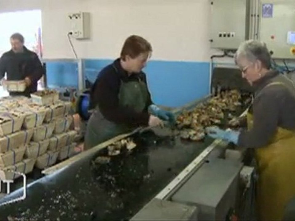 Les ostréiculteurs dans la dernière ligne droite (Bouin)