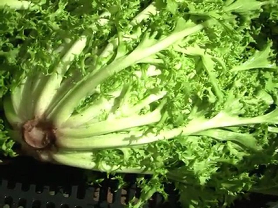 L'Amap a dix ans et toujours de l'avenir selon ses fondateurs