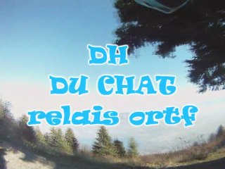 DH le chat par les dalles 2011 LOLO-RS a la cam