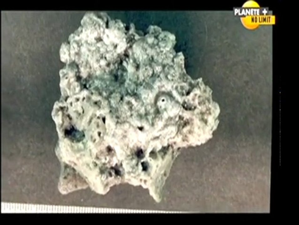 Chasseurs d'ovnis [ Crash et récupération d'un ovni ] 3/3