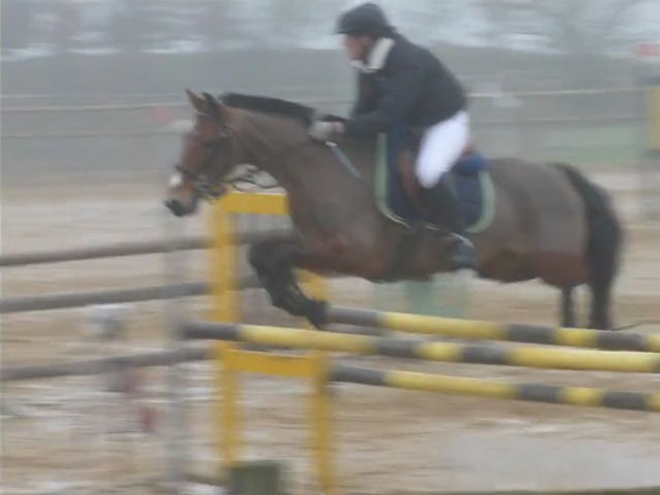 2011 02 20 (2)