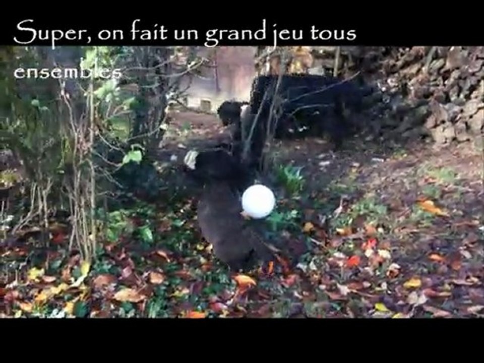 Les Epsilons croquent la vie...