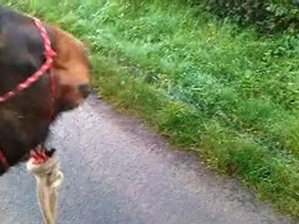 Ulla, son pas d'enfer et ses stops à l'assiette :P