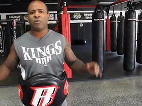 Revgear Body Guard Belly Pad - Combat Collection MMA Gear