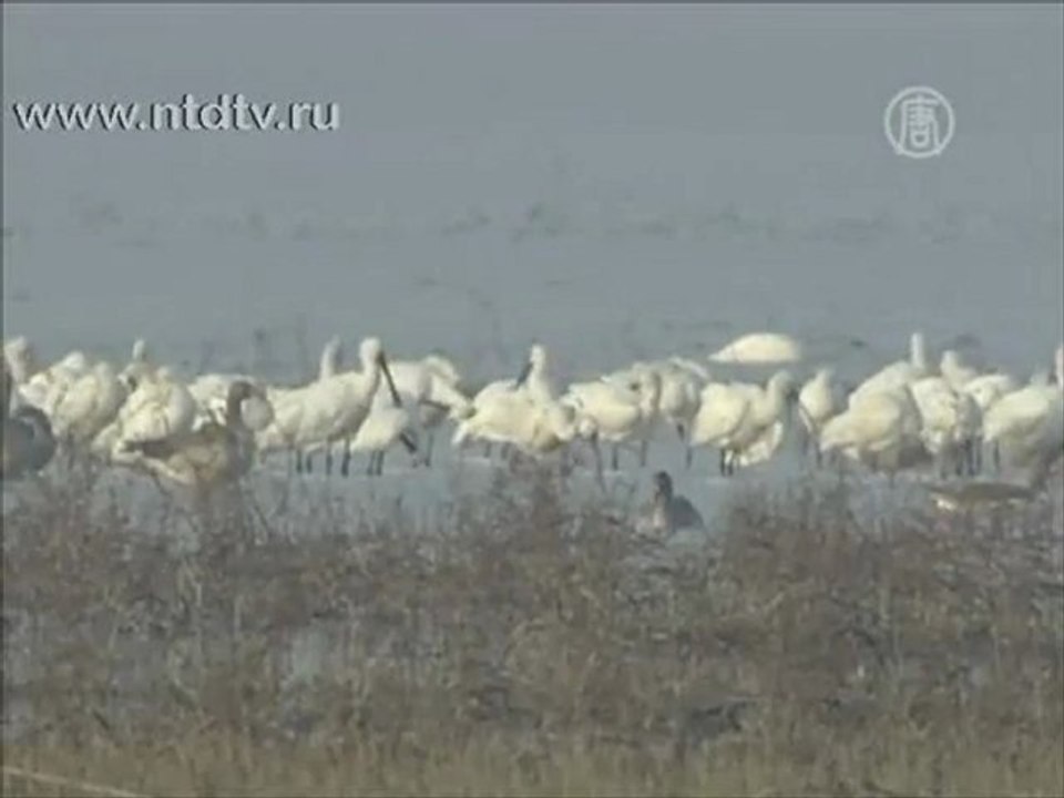 Обзор мировых событий (25 ноября - 1 декабря)
