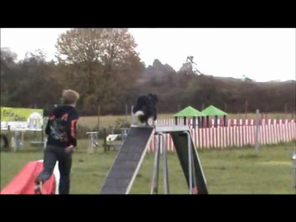 Gaëtan & Vodka Entraînement Agility 2011