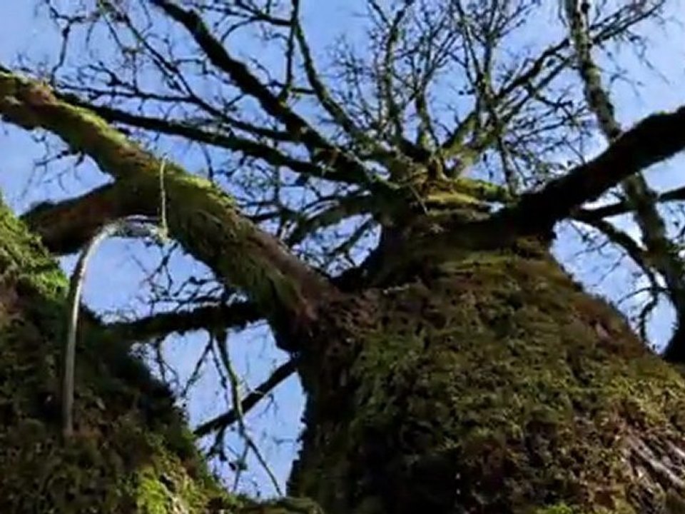 Time Lapse – Finding Oregon