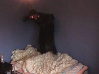 Au lit, Gerry! (Good night, Gerry)