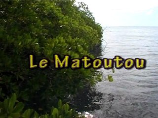 Le Matoutou en Martinique