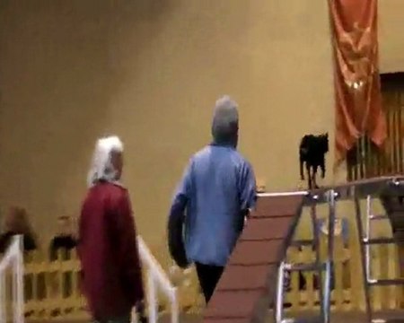 Athena Capitole novembre 2011