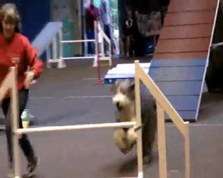 Fao Capitole novembre 2011