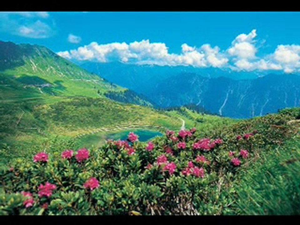 Weltfriedensmeditation - Deutsch