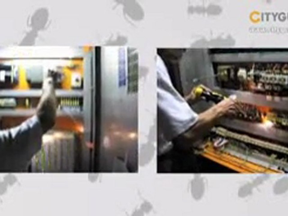 Kistler & Stettler AG