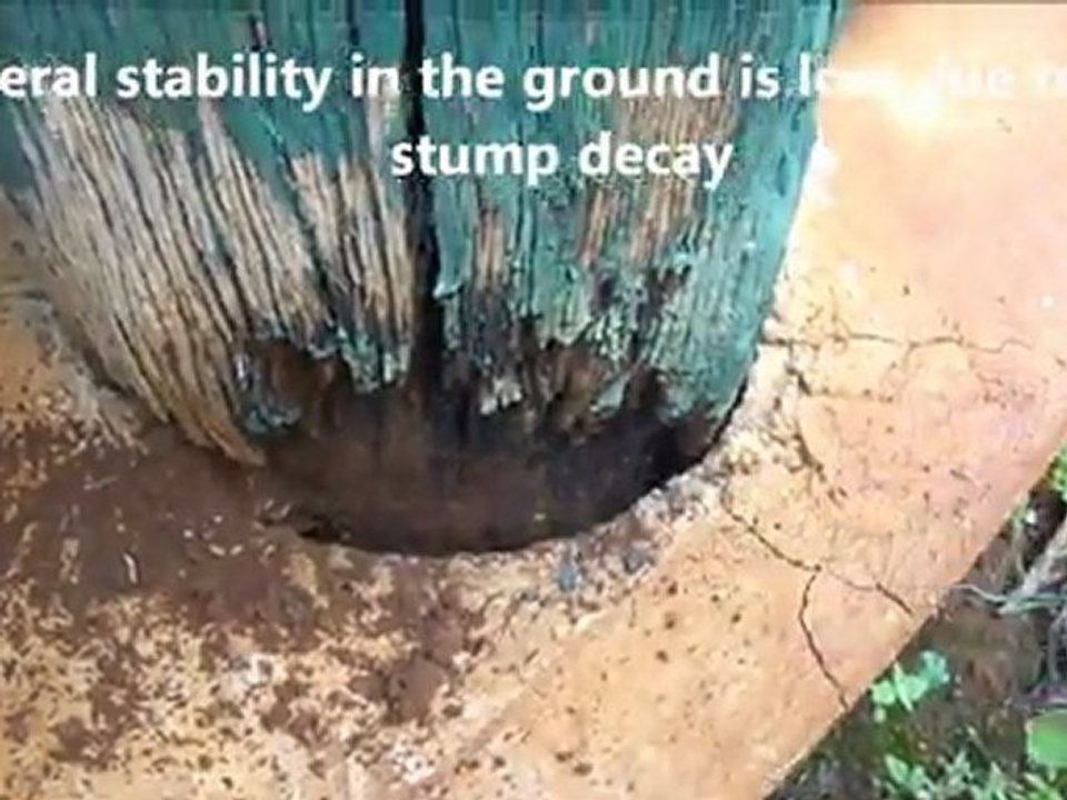 Building Inspections Brisbane - Incorrect Stump Modifications