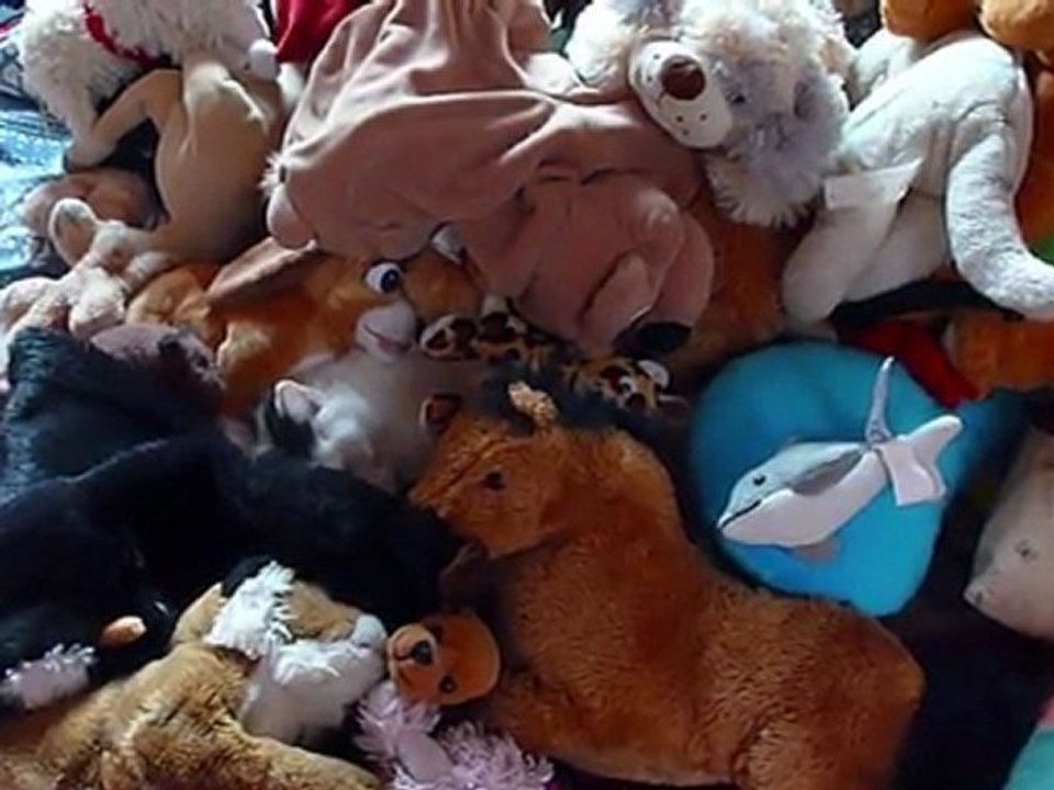 Zélina, 26 novembre