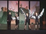 Gala de Danse 2009-12 Les oiseaux de proie