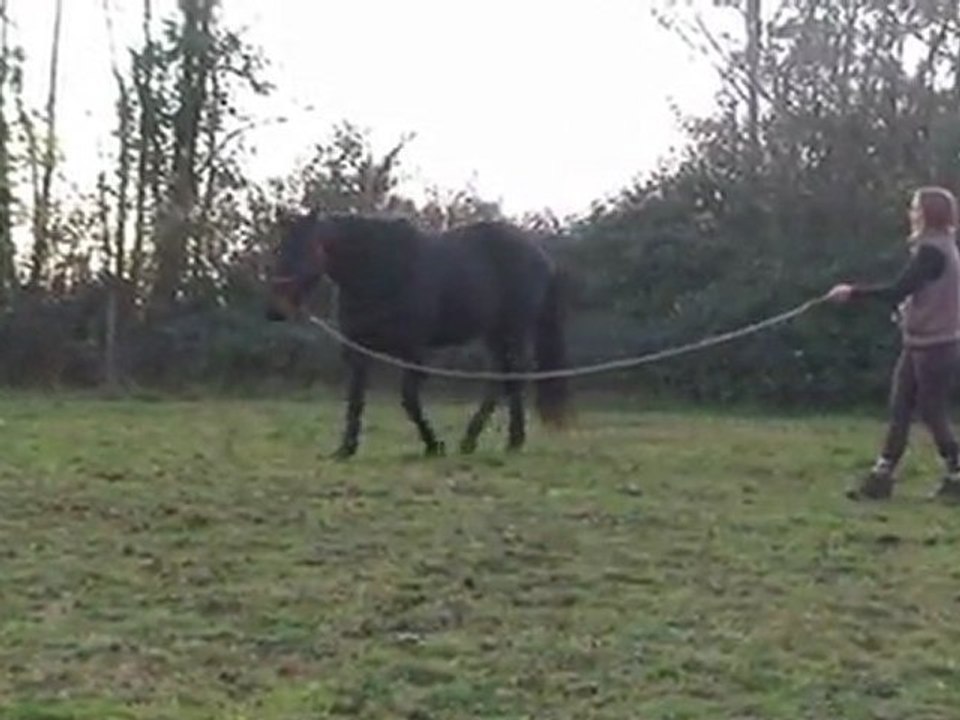 Rebel, travail en carrière