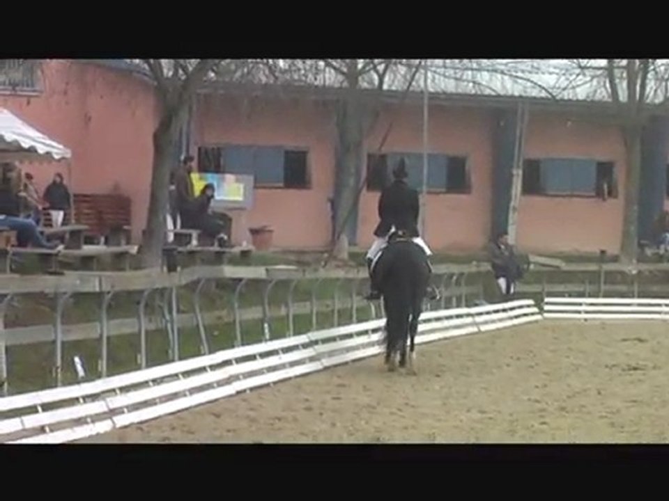 Concours dressage 27/11/11